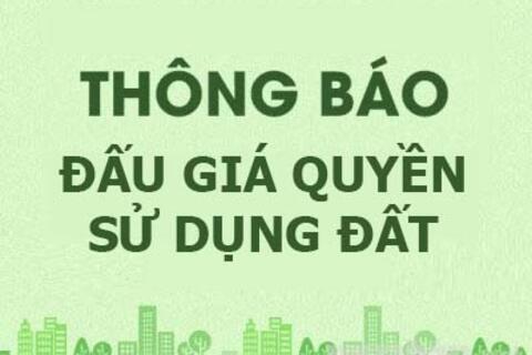 Thông báo bán đấu giá quyền sử dụng đất ở tại các khu quy hoạch dân cư trên địa bàn thị xã Hoài Nhơn